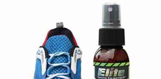 shoe deodorizer