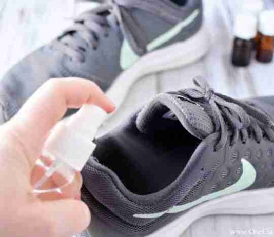 Whats the best shoe deodorizer