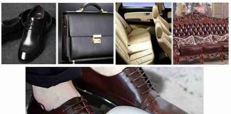Electric Shoe Polisher Viiwuu Upgrade Shine Kit Polisher