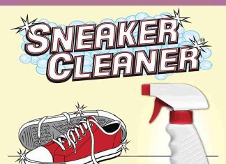 Shoe Cleaner Spray