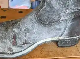 How to get rid of mold from Shoes