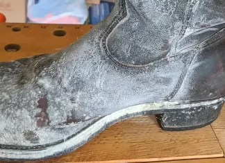 How to get rid of mold from Shoes