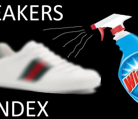 can i use windex to clean shoes 5