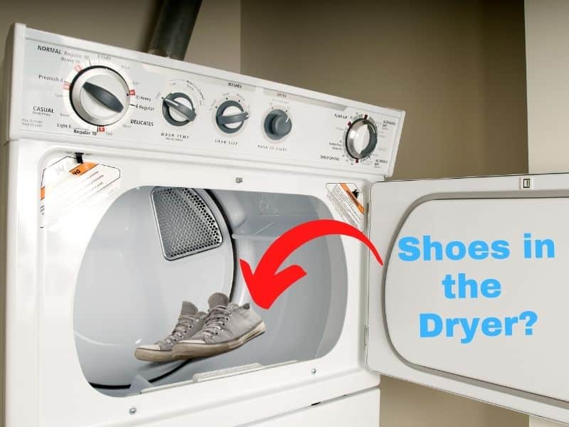Do I Really Need A Shoe Dryer, Or Can I Air-dry My Shoes?