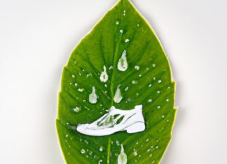 biodegradable shoe cleaning spray with natural ingredients