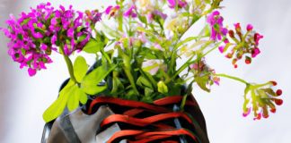 natural shoe deodorizer absorbs moisture and odors