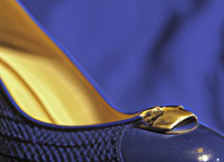 protect your footwear with our advanced shoe cleaning products