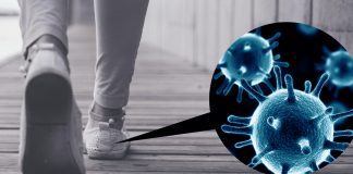 Eliminate Bacteria And Germs With Our Powerful Shoe Sanitizer