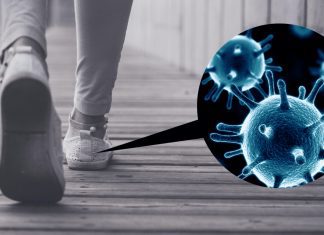 Eliminate Bacteria And Germs With Our Powerful Shoe Sanitizer