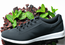 what are the best shoe deodorizers in 2023