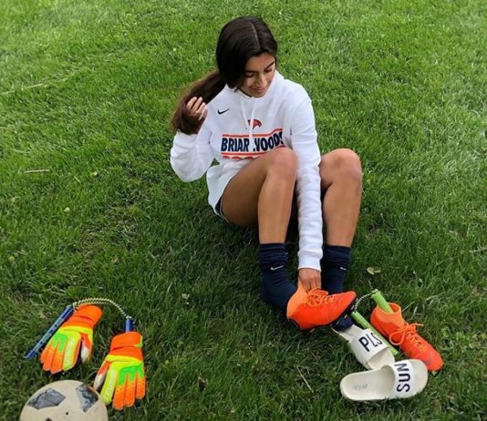 glovestix stankstix shoe deodorizer liquid shoe odor eliminator formerly called shoestix non toxic odor remover for shoe 2