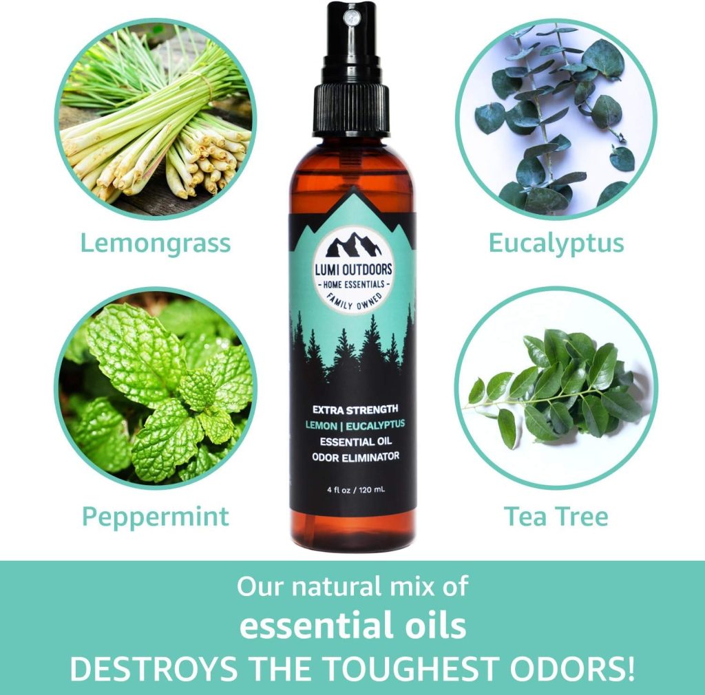 Lumi Outdoors Natural Shoe Deodorizer Bundle - Extra Strength Eucalyptus Lemongrass - Citrus Tea Tree - Lavender Tea Tree